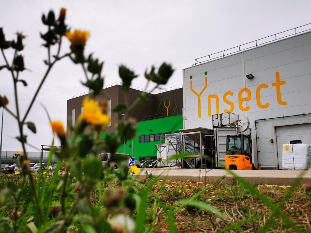 The exterior of a modern vertical farm facility prominently displaying the ÿnsect and insect farming brand logo in yellow against a white industrial